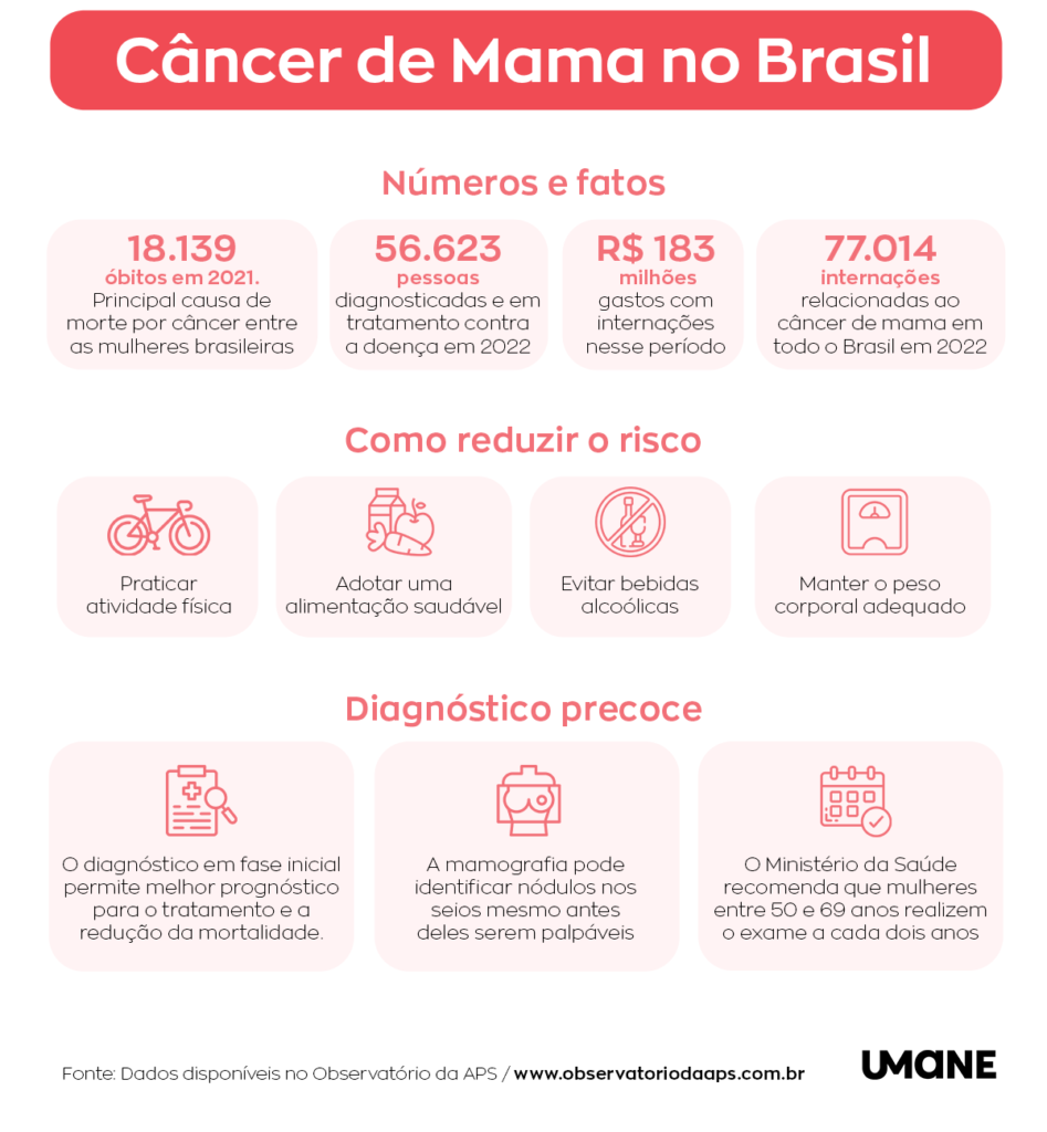 Infográfico do Câncer de Mama no Brasil